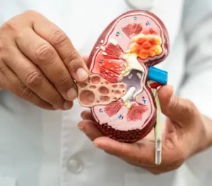 Grasa abdominal